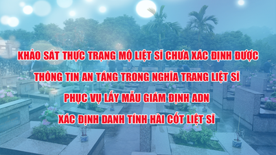 Lao Cai: Badanie aktualnego statusu grobów męczenników, których pochówek jest nieznany, na cmentarzu męczenników w celu ułatwienia przeprowadzania testów DNA w celu identyfikacji szczątków.