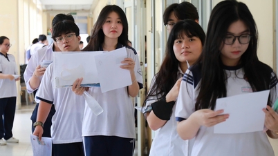 Voorstel om in Hanoi gespecialiseerde scholen op te richten, vanaf het niveau van de middelbare school tot en met de hogere klassen.