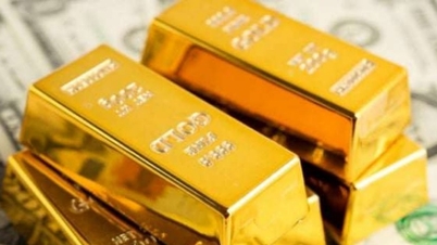 Actualización 08:30 AM 01/03/2026: Los precios del oro se mantienen estables en todos los ámbitos, con SJC manteniéndose en 187.000.