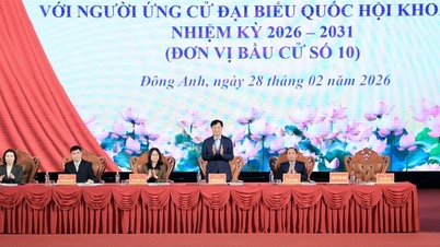 Le secrétaire du Parti de Hanoï, Nguyen Duy Ngoc, la vice-ministre permanente de la Culture, des Sports et du Tourisme, Lam Thi Phuong Thanh, et d'autres candidats à l'Assemblée nationale ont rencontré des électeurs pour faire campagne en vue des élections.