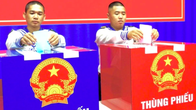 Whether residing in one place or another, where do voters cast their ballots for National Assembly representatives?