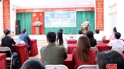 Lansering av konstfototävlingen "Binh Thuan - Strävan att nå längre"