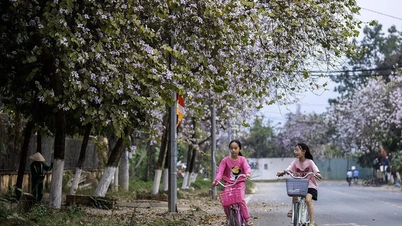 Pada 1 Mac, suhu di beberapa kawasan di Vietnam Utara melebihi 33 darjah Celsius, dengan ribut petir berlaku di banyak kawasan.