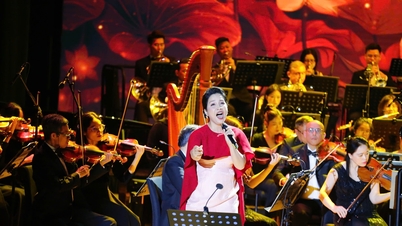 Hoa Phuong-teatern - Hamnstadens nya "musikaliska hjärta".