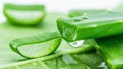 Vilka ingredienser kan kombineras med aloe vera för att minska akne och reparera huden?