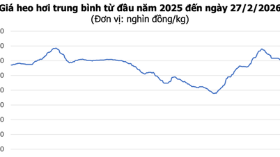 Svinekjøttpriser i dag, 27. februar: Mange provinser i Nord- og Sentral-Vietnam ser en prisnedgang på 1000 VND/kg.