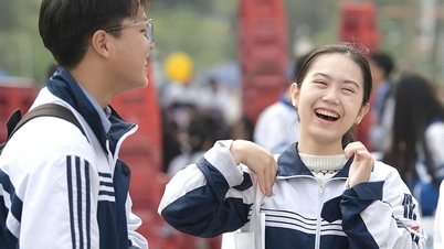 고등학교 졸업반 학생들이 진로 선택에 혼란스러워하고 있습니다. 자신의 열정을 따라야 할까요, 아니면 유행을 쫓아야 할까요?