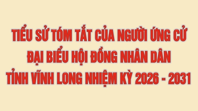 Brève biographie du candidat au Conseil populaire provincial de Vinh Long pour le mandat 2026-2031.