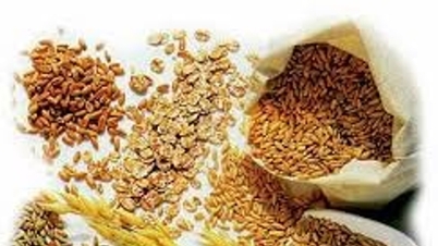 Цены на сою на бирже CBOT достигли трехмесячного максимума, чему способствовал спрос на биотопливо и активность в Китае.