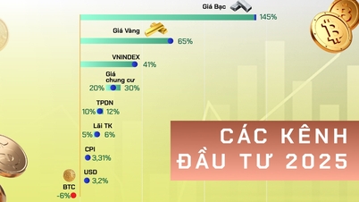 Infographic: Performance of Investment Channels in 2025 and Forecast for 2026