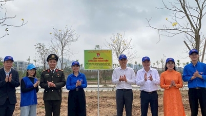 Le quartier de Thanh Liet inaugure le projet « Jardin fleuri des jeunes ».