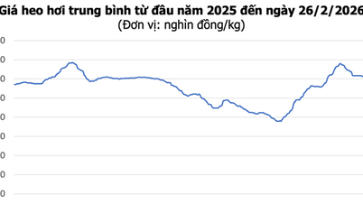 26 Şubat tarihli domuz eti fiyatları: Kuzey bölgesinde 2.000 VND'lik keskin bir düşüş yaşandı, piyasa fiyatı 69.000 ile 72.000 VND arasında dalgalanıyor.