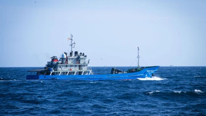 Maritim milits - modnet av bølger og stormer.