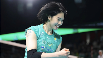 To vietnamesiske volleyballspillere stråler og skaper forbauselse i Japan.