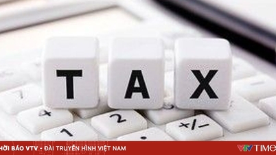 هل يجوز إدراج رقم التعريف الشخصي بدلاً من رمز ضريبة الأعمال في الفواتير؟