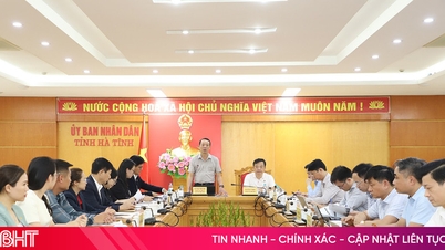 ខេត្តហាទីញ លើកកម្ពស់កិច្ចសហប្រតិបត្តិការជាមួយក្រុមហ៊ុន Nafoods ដើម្បីកសាងប្រព័ន្ធអេកូឡូស៊ីកសិកម្មបច្ចេកវិទ្យាខ្ពស់។