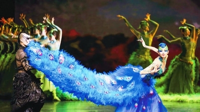 “The Peacock Hanoi 2026”: