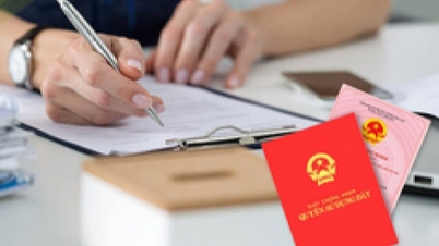 Quel organisme signe le plan cadastral en vue de la délivrance du certificat foncier ?