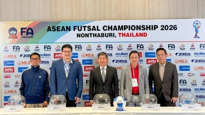 Vietnam befindet sich im AFF Cup in der gleichen Gruppe wie Gastgeberland Thailand.