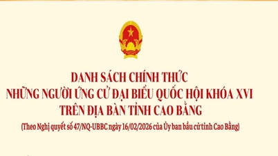 [Infographie] Liste officielle des candidats à la 16e Assemblée nationale de la province de Cao Bang