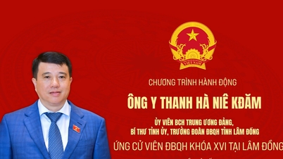 Plan d'action de M. Y Thanh Hà Niê Kđăm, candidat à la 16e Assemblée nationale dans la province de Lam Dong.