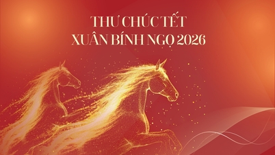 Saudações de Ano Novo para o Ano do Cavalo 2026 do Secretário do Partido e Presidente do Conselho de Administração, Nguyen Canh Tinh.