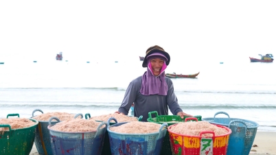 En début de saison, la pâte de crevettes fraîche coûte entre 30 000 et 50 000 VND/kg.