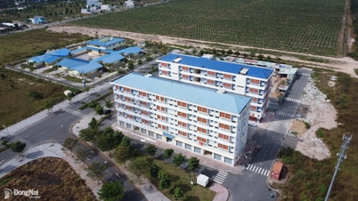 Cinco projetos de habitação social precisam de empréstimos com condições preferenciais.