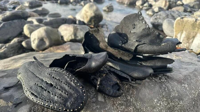 Загадка сотен старинных туфель, выброшенных на берег валлийского пляжа.