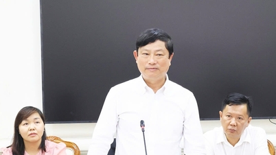 Ho Chi Minh City is focusing its efforts on preparing for the "national festival" with serious and coordinated implementation.