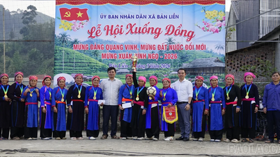 2026년 반련 벼농사 축제는 대성공을 거둘 것입니다.