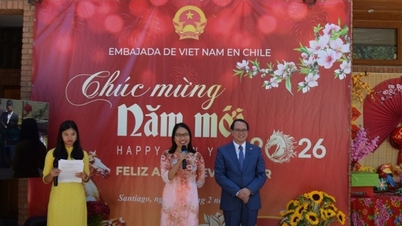Het traditionele maanjaar, het Jaar van het Paard, wordt gevierd op de Vietnamese ambassade in Chili, ter voorbereiding op het 55-jarig jubileum van de diplomatieke betrekkingen.