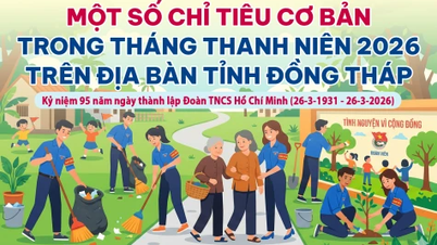 [Infographie] Quelques indicateurs clés pour le Mois de la jeunesse 2026 dans la province de Dong Thap