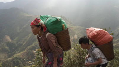 Crop diversification on sloping land - a sustainable path to poverty reduction.