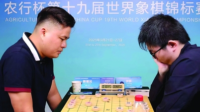 The Chinese chess community's thirst for revenge helped Lai Ly Huynh... strike it rich.