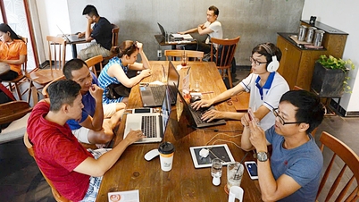 Are Starlink's rates affordable for Vietnamese users?