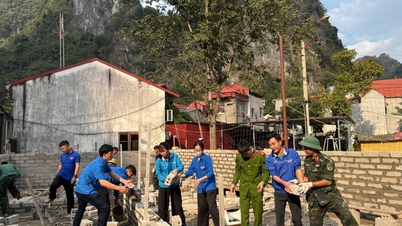 Dấu ấn xuân tình nguyện