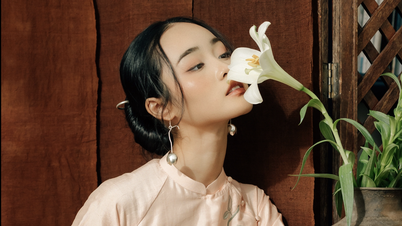 Ao Dai 2026: Preservando o espírito vietnamita na seda tradicional.