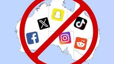 البحث عن حلول مستدامة