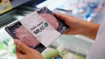 Plant-based meat industry: From investment frenzy to challenges of decline.