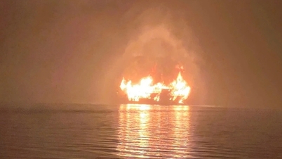 Inspecteer en beoordeel de veiligheids- en technische staat van alle toeristenboten die in Ha Long Bay varen.