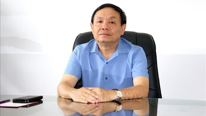 Les préparatifs électoraux à Dong Thap ont commencé très tôt.