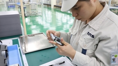 Gewijzigde investeringswet: een 'impuls' voor Vietnam om buitenlands kapitaal aan te trekken.