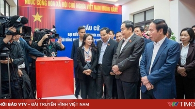 The period from now until the election on March 15, 2026, is a crucial and decisive phase.