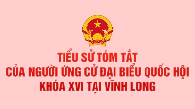 Tiểu sử tóm tắt của người ứng cử đại biểu Quốc hội khóa XVI tại Vĩnh Long
