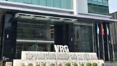 Regjeringsinspektoratet har påpekt en rekke brudd hos Vietnam Rubber Industry Group.