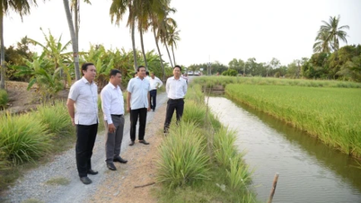 ដុងថាប៖ ឆ្លើយតបយ៉ាងសកម្មចំពោះគ្រោះរាំងស្ងួត និងជាតិប្រៃក្នុងរដូវប្រាំងឆ្នាំ ២០២៥-២០២៦។