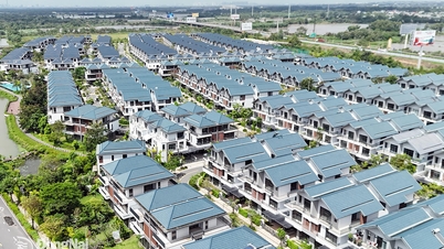 Dong Nai compte actuellement 443 projets immobiliers en cours.