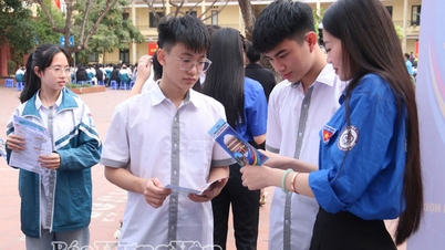 Centrarse en la orientación profesional de los sindicalistas y de los jóvenes.