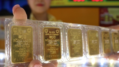 The price of SJC gold bars increased by 1.6 million VND per tael.
